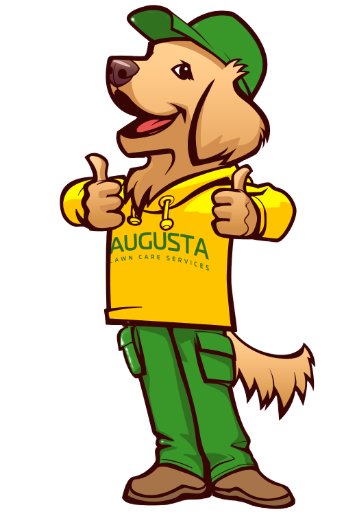 Icon of Max, the dog mascot for Augusta Lawn Care Services, representing the company's friendly and professional brand.