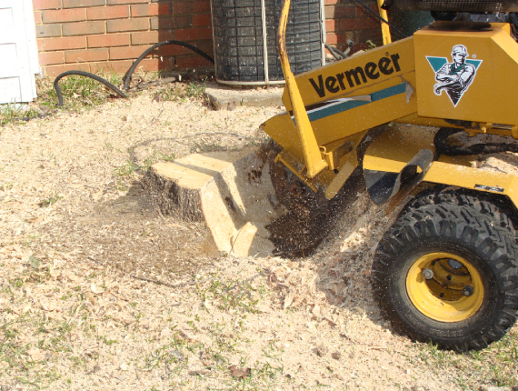 Stump Grinding