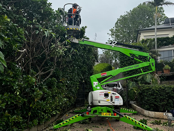 Tree Pruning