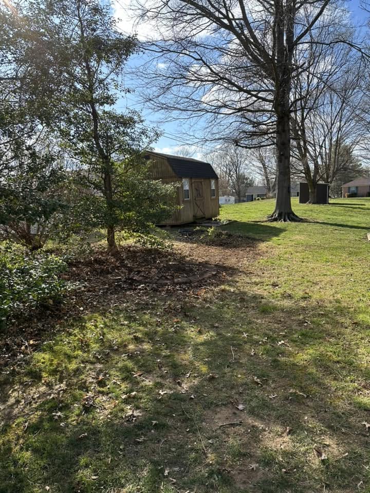 Storm cleanup — fallen branches and yard waste hauled off in Kentucky.