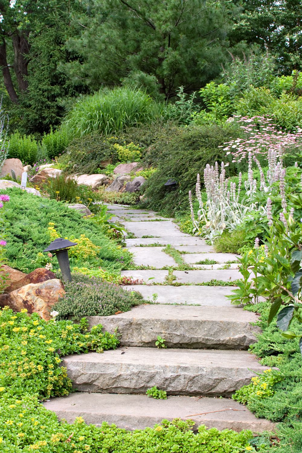 beautiful garden path