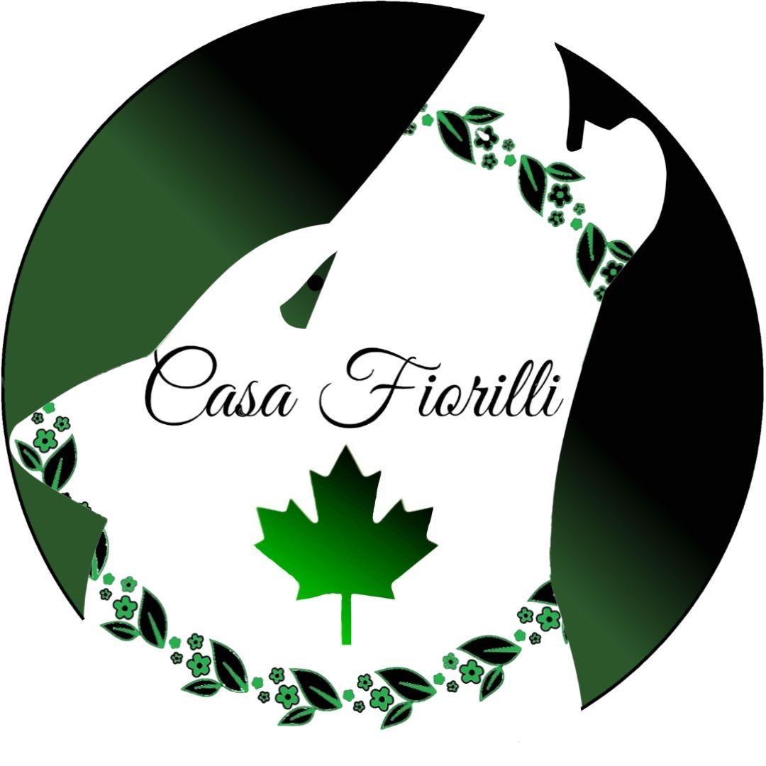 Cinzia Lilli business logo