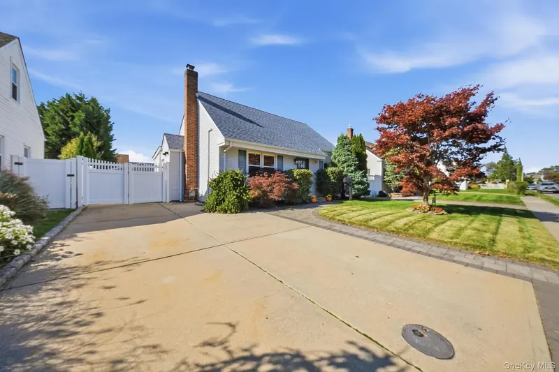 Driveway and side yard