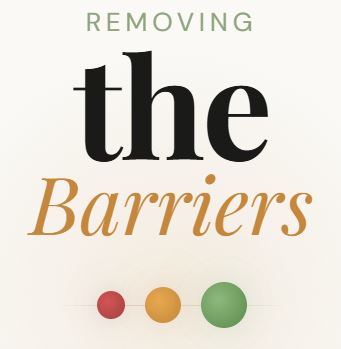 Removing the Barriers to Learning book cover