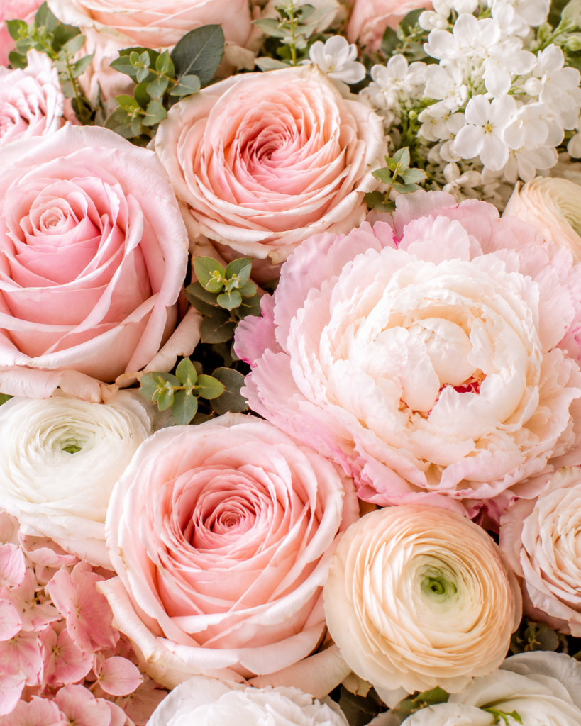 Peony detail