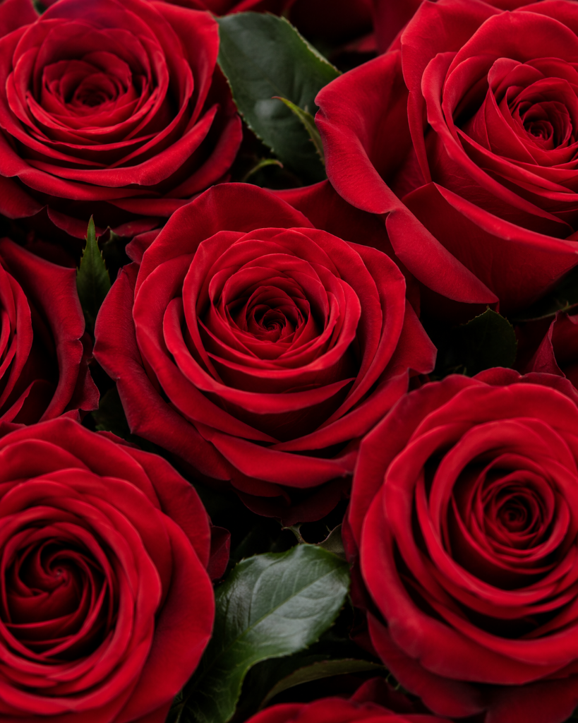Classic Rose Bouquet detail
