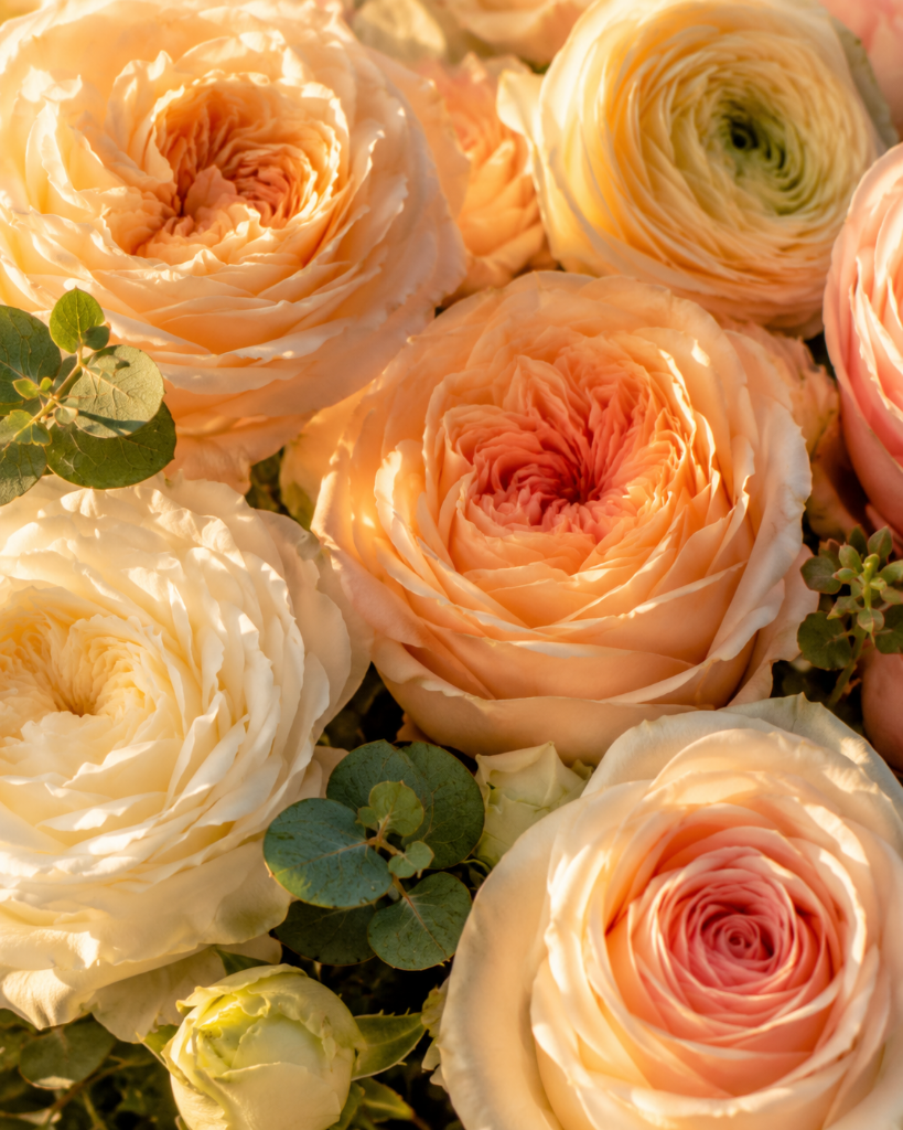 Golden roses detail