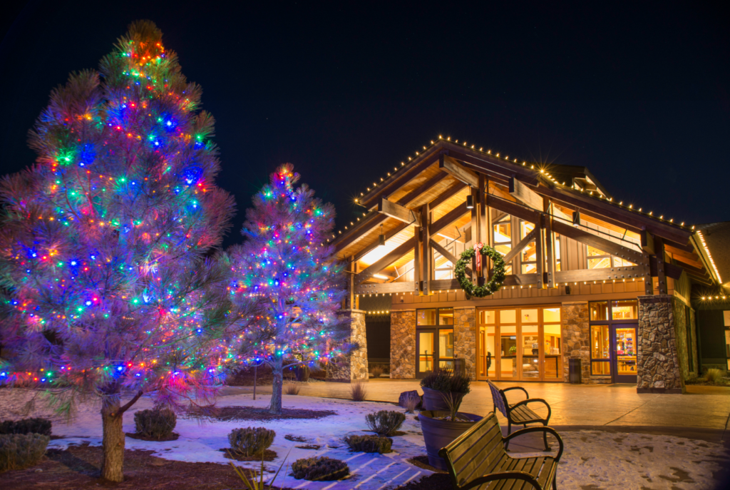Commercial building with warm roofline lights and two lit evergreen trees