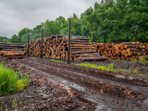 Firewood & Landscape Supply Services Ruffin