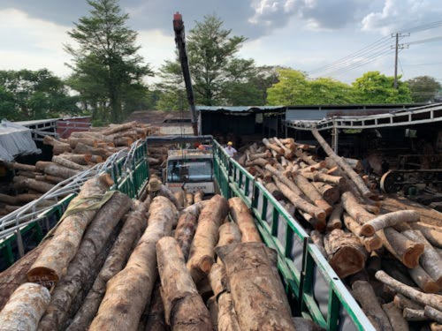 Scheduled Firewood Pickup in Ruffin