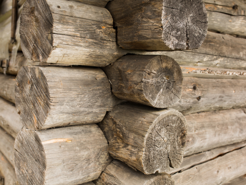 Scheduled Firewood Pickup Ruffin