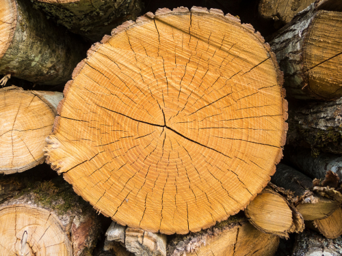 Greensboro Mulch & Landscape Supply