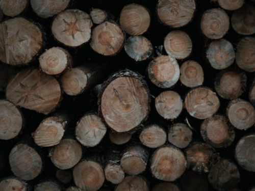 Reidsville Scheduled Firewood Pickup