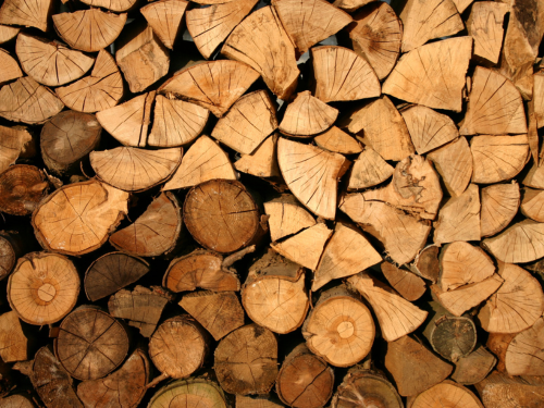 Scheduled Firewood Pickup Ruffin
