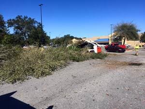 {{ custom_values.service_1 }} in {{custom_values.area_1})