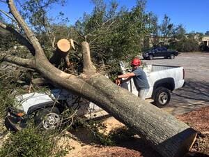 {{ custom_values.service_1 }} in {{custom_values.area_2})