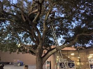 {{ custom_values.service_3 }} in {{custom_values.area_3})