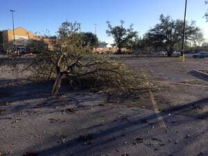 {{ custom_values.service_3 }} in {{custom_values.area_5})