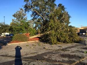 {{ custom_values.service_4 }} in {{custom_values.area_4})