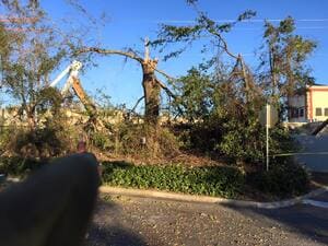 {{ custom_values.service_4 }} in {{custom_values.area_2})