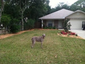 {{ custom_values.service_3 }} in {{custom_values.area_2})