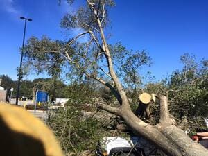 {{ custom_values.service_2 }} in {{custom_values.area_2})