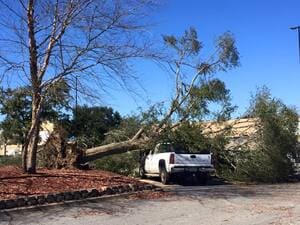 {{ custom_values.service_4 }} in {{custom_values.area_1})