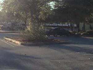 {{ custom_values.service_3 }} in {{custom_values.area_4})