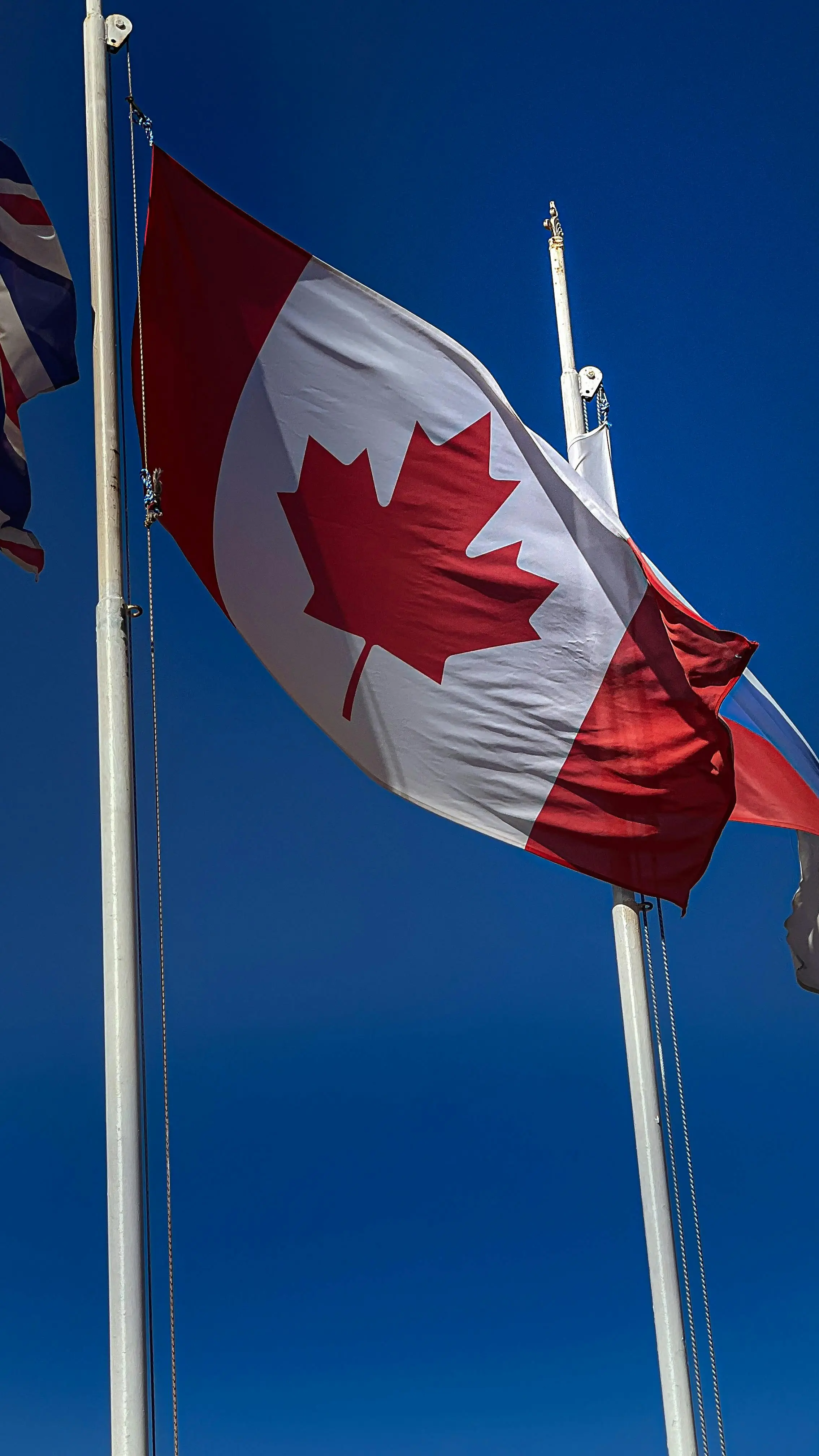 Canada PR vs. Citizenship: The Strategic Guide for Indian Founders