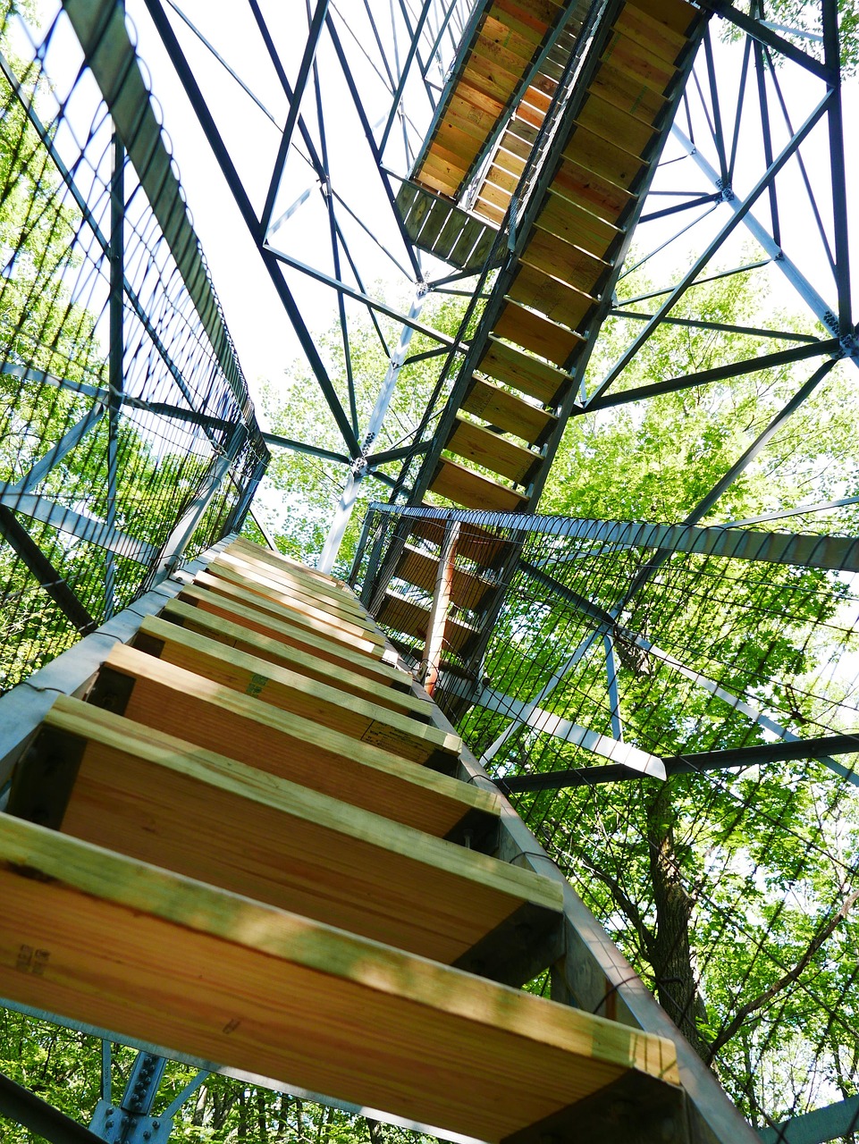 A wooden staircase ascending upward through green trees toward the sky, representing gradual progression through maturity levels