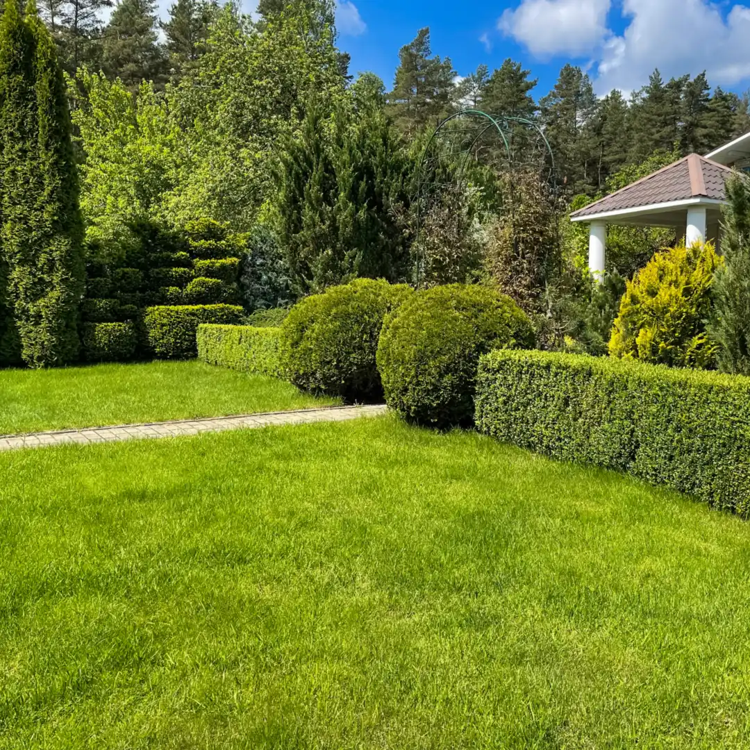 Landscape Design
