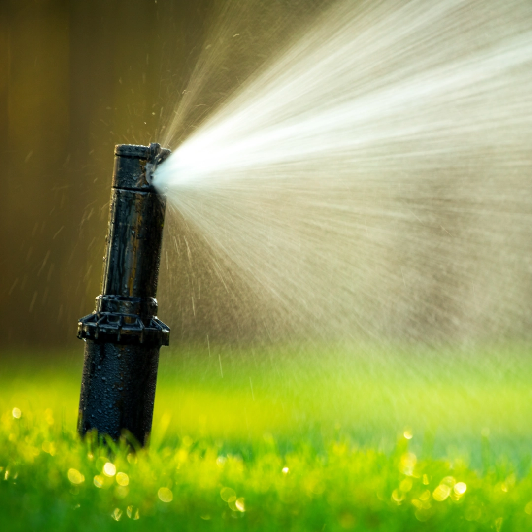 Sprinkler Installation