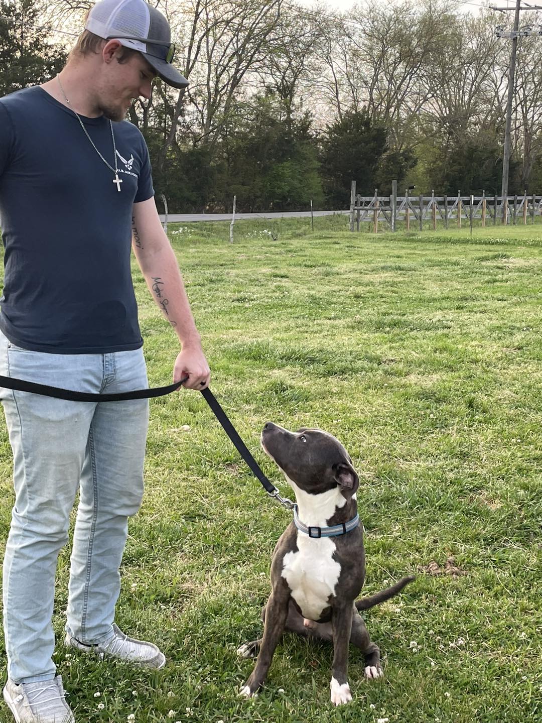 Dog Grooming West Point