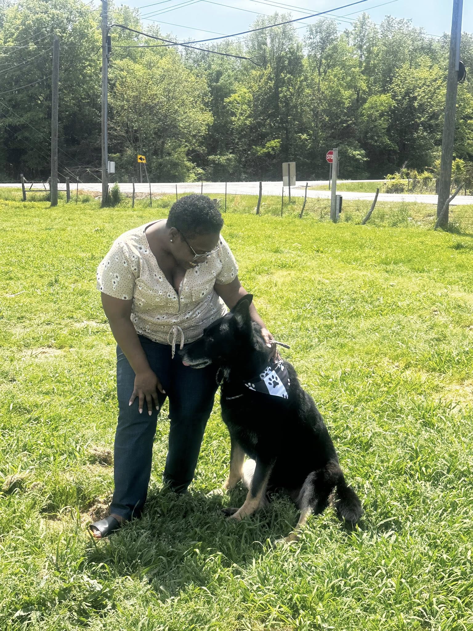 Aberdeen Doggy Daycare