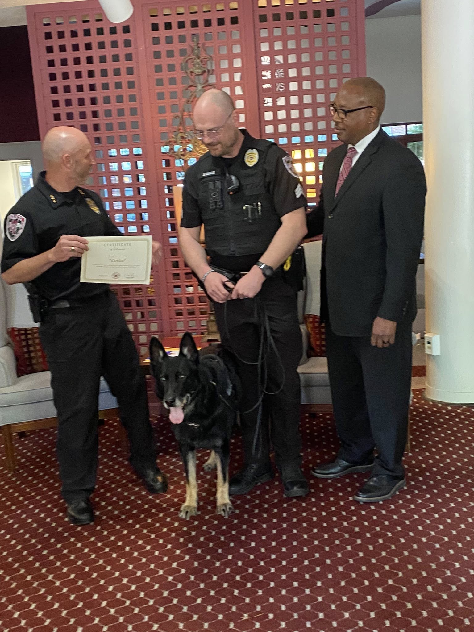 Doggy Daycare West Point