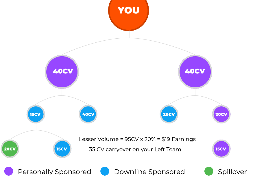 Two Team Pay example: YOU with two 40CV legs; lesser volume 95CV x 20% = $19 earnings, 35 CV carryover on your left team