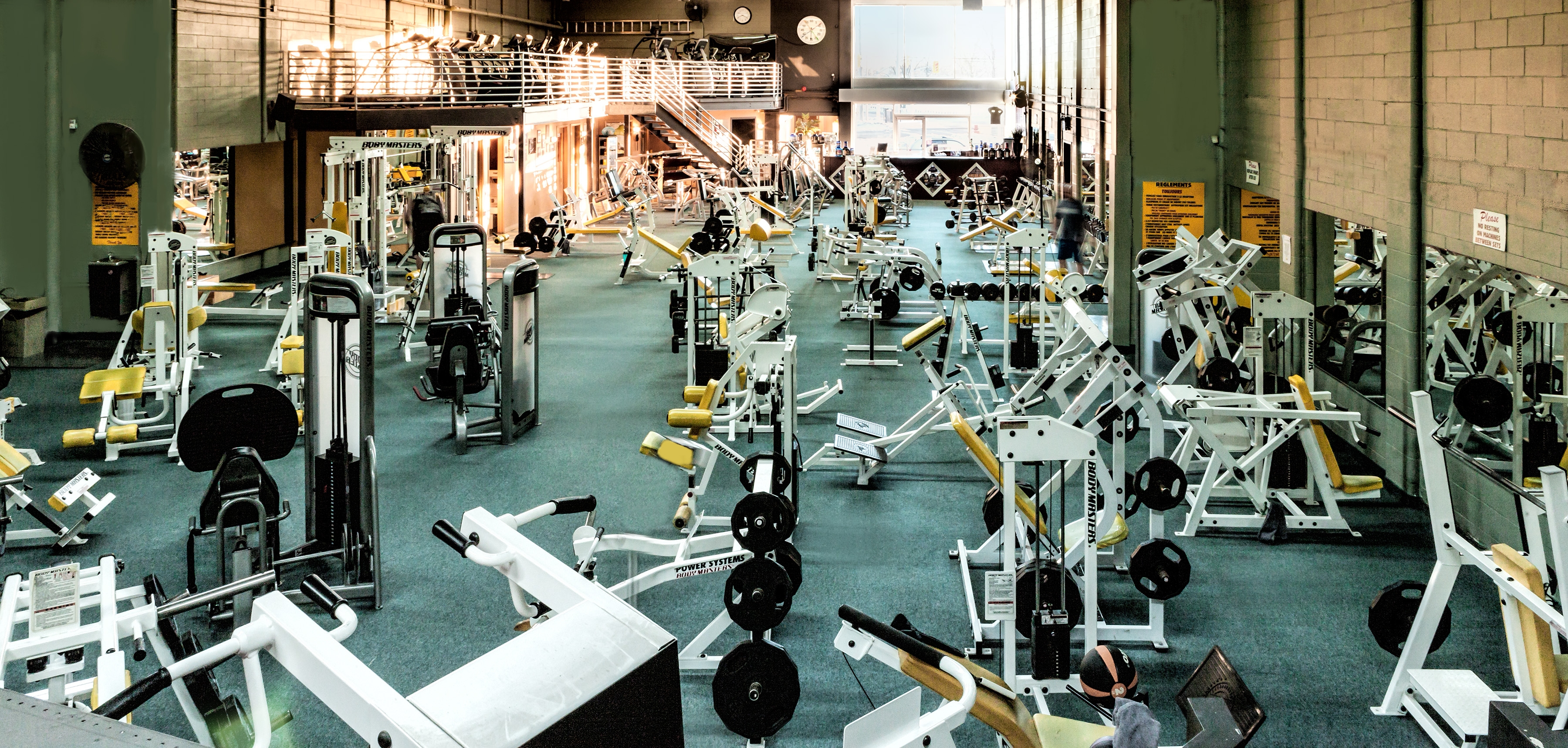 New Body Dimensions logo