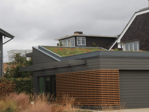 Avalon Green Roof Beach House
