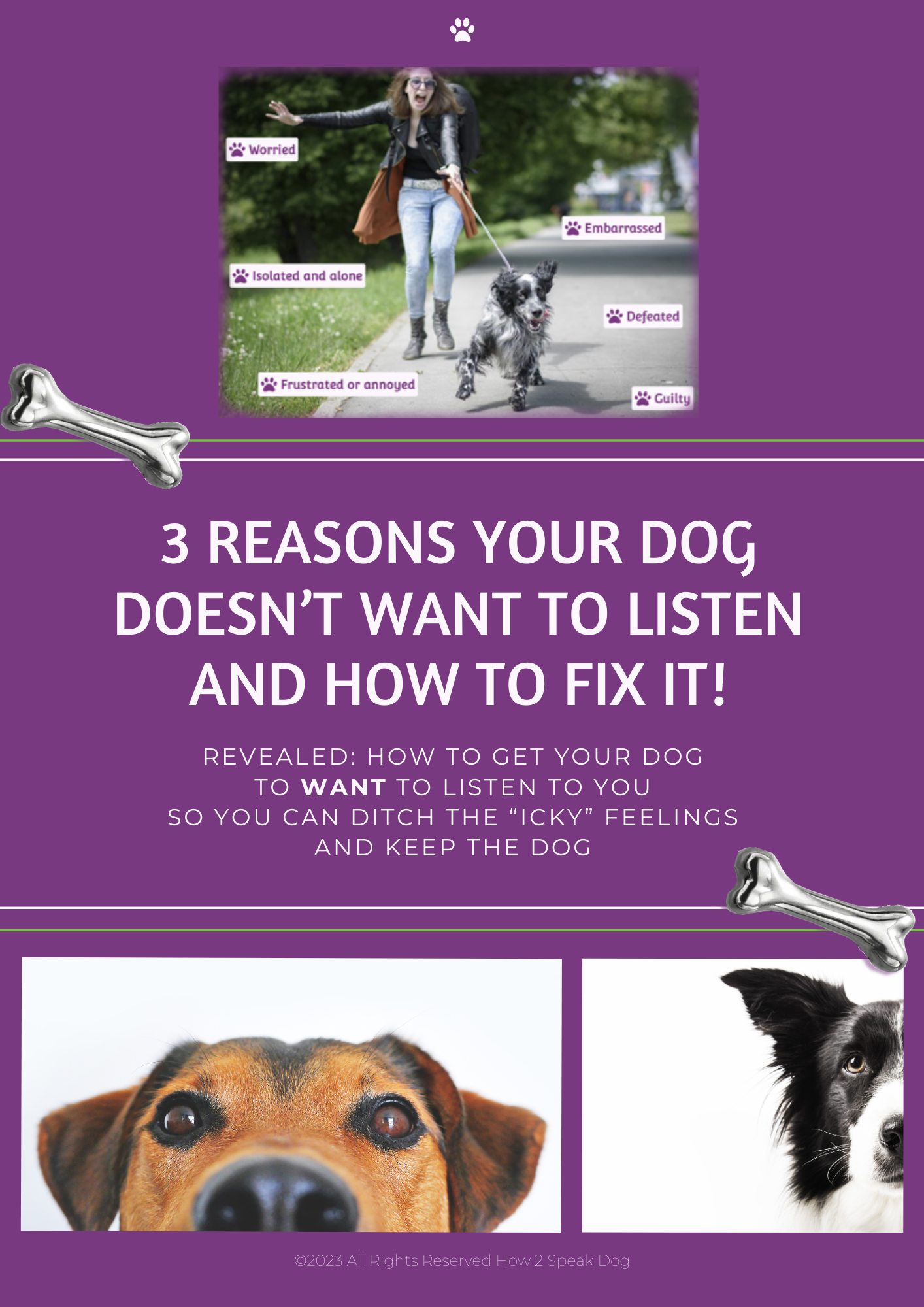 3-reasons-why-your-dog-won-t-listen-how-to-fix-it