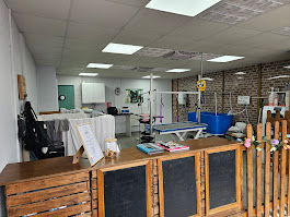 Treasured Paws dog grooming salon interior – Hull HU7