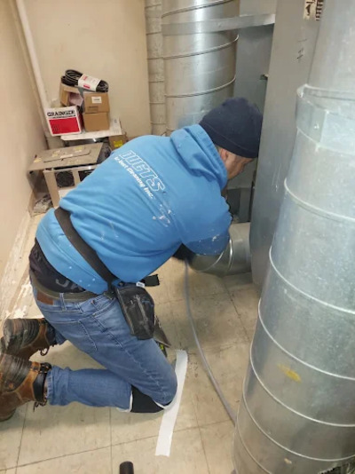 Home Ozone treatment in Burr ridge