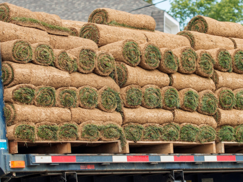  Storage unit clean out