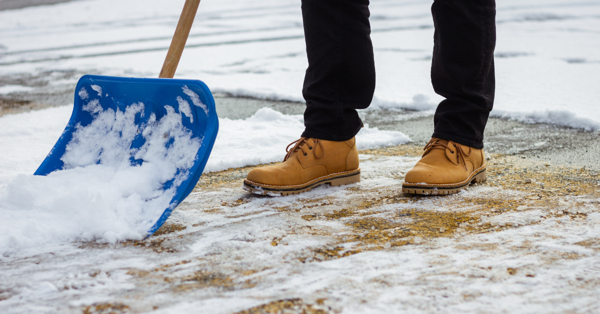 Hedge and Shrub Pruning