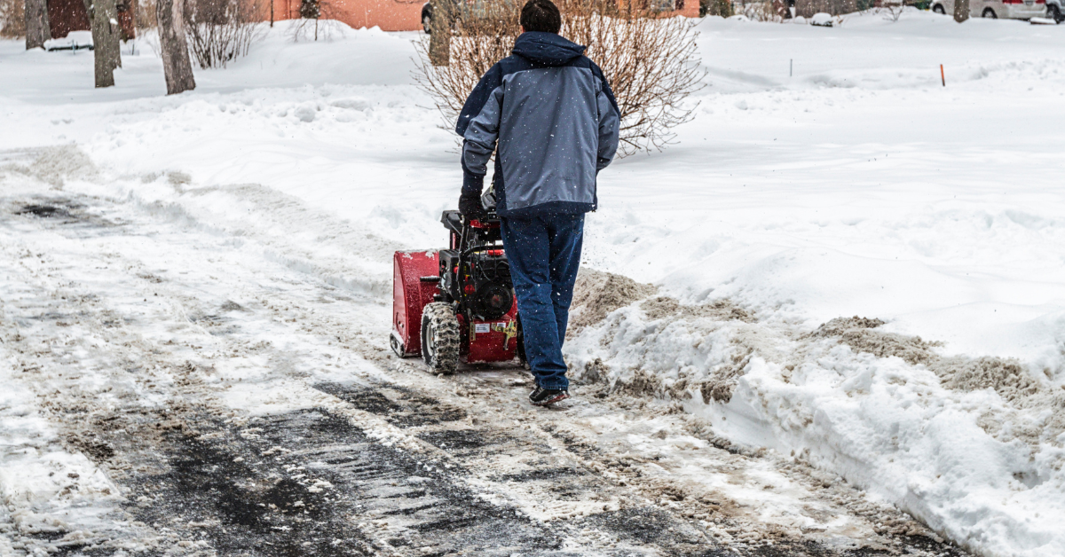 Hedge and Shrub Pruning