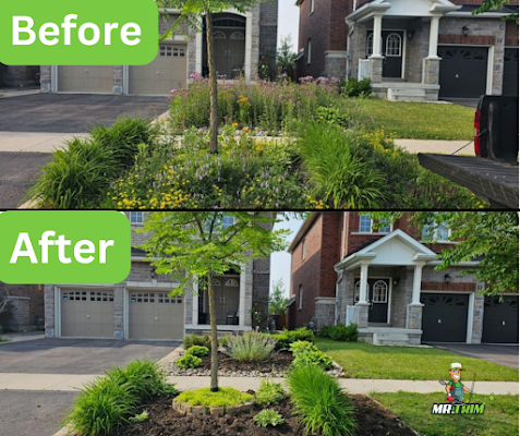 Creative Garden Landscape Design Ideas for Every Home