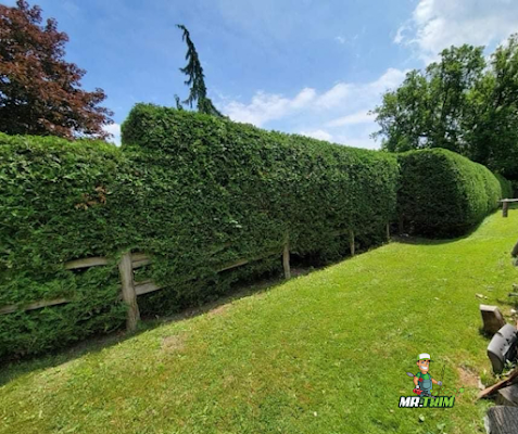  Hedge Trimming and Tree Pruning for Beautiful Gardens