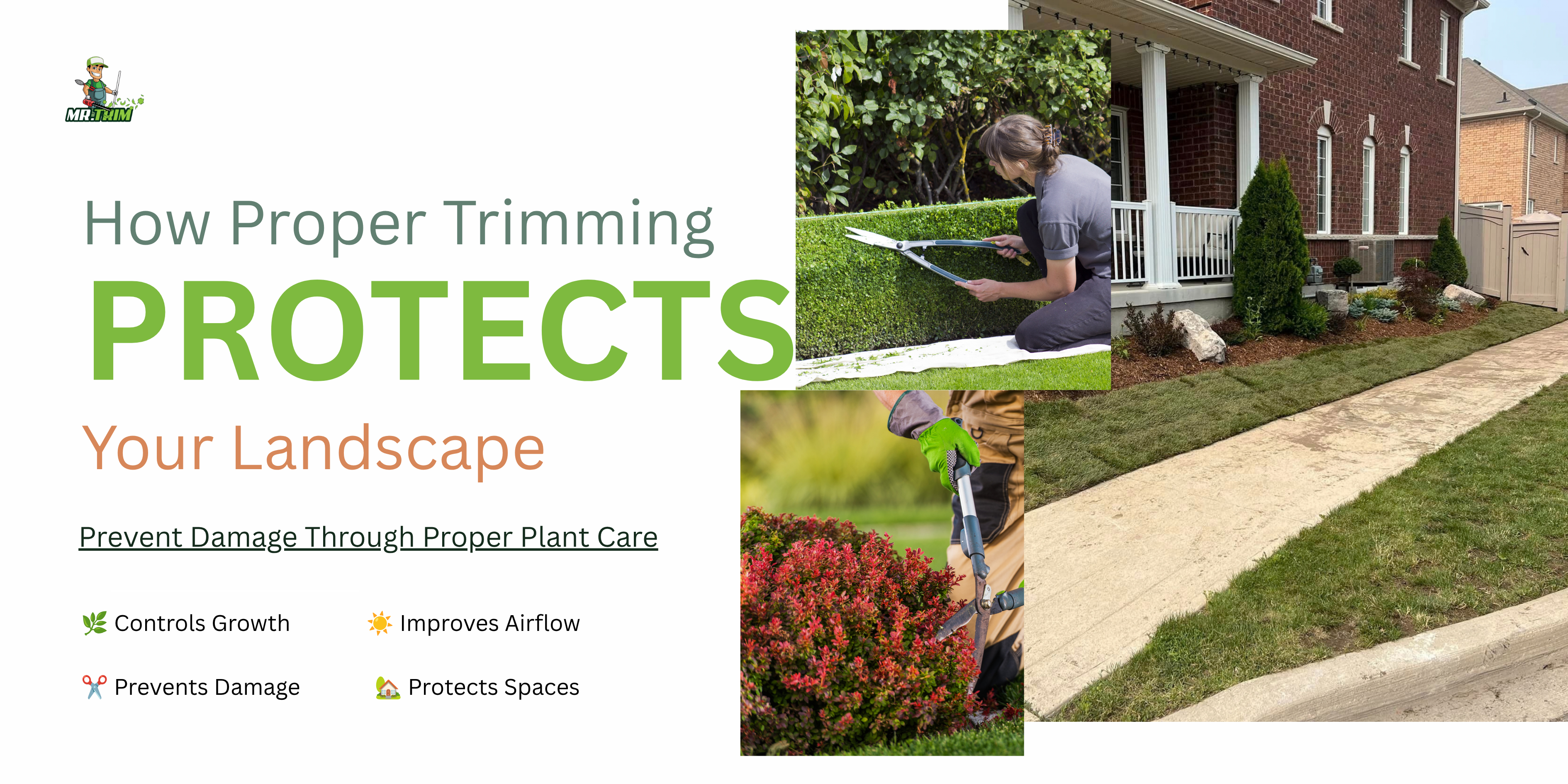trim landscaping