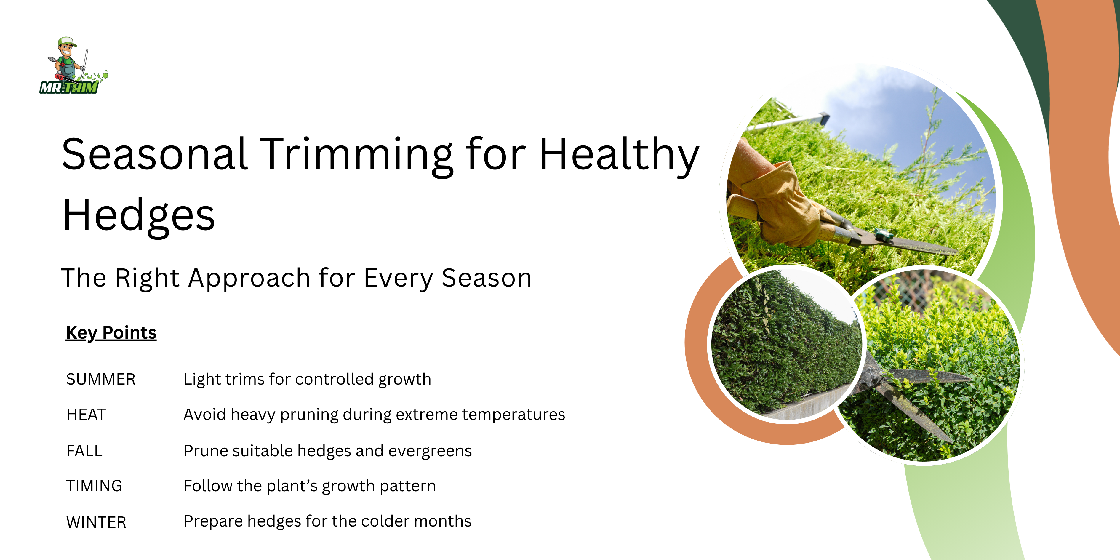hedge pruning service hedge pruning service