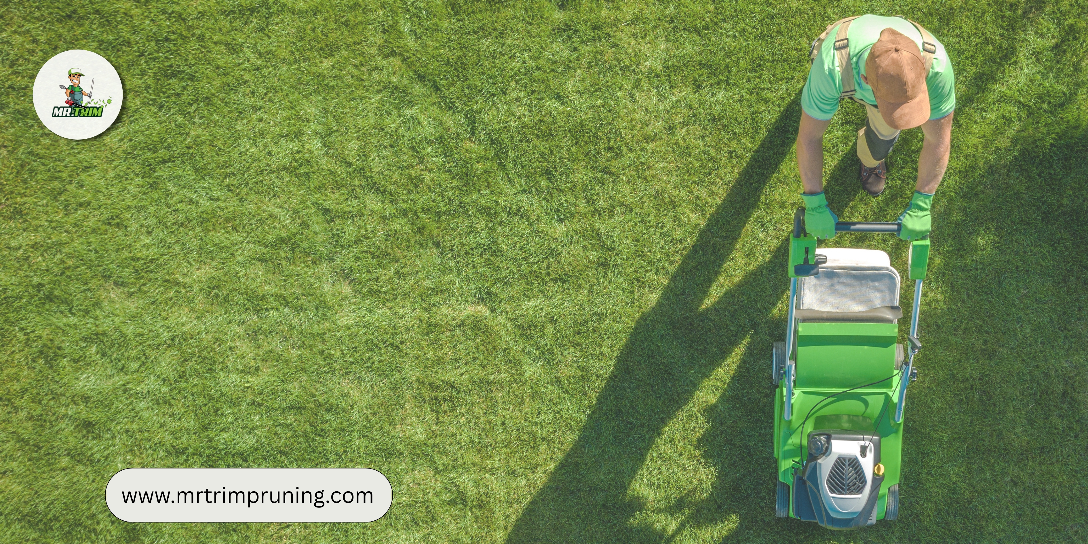How to Reduce Lawn Maintenance Without Losing Curb Appeal?