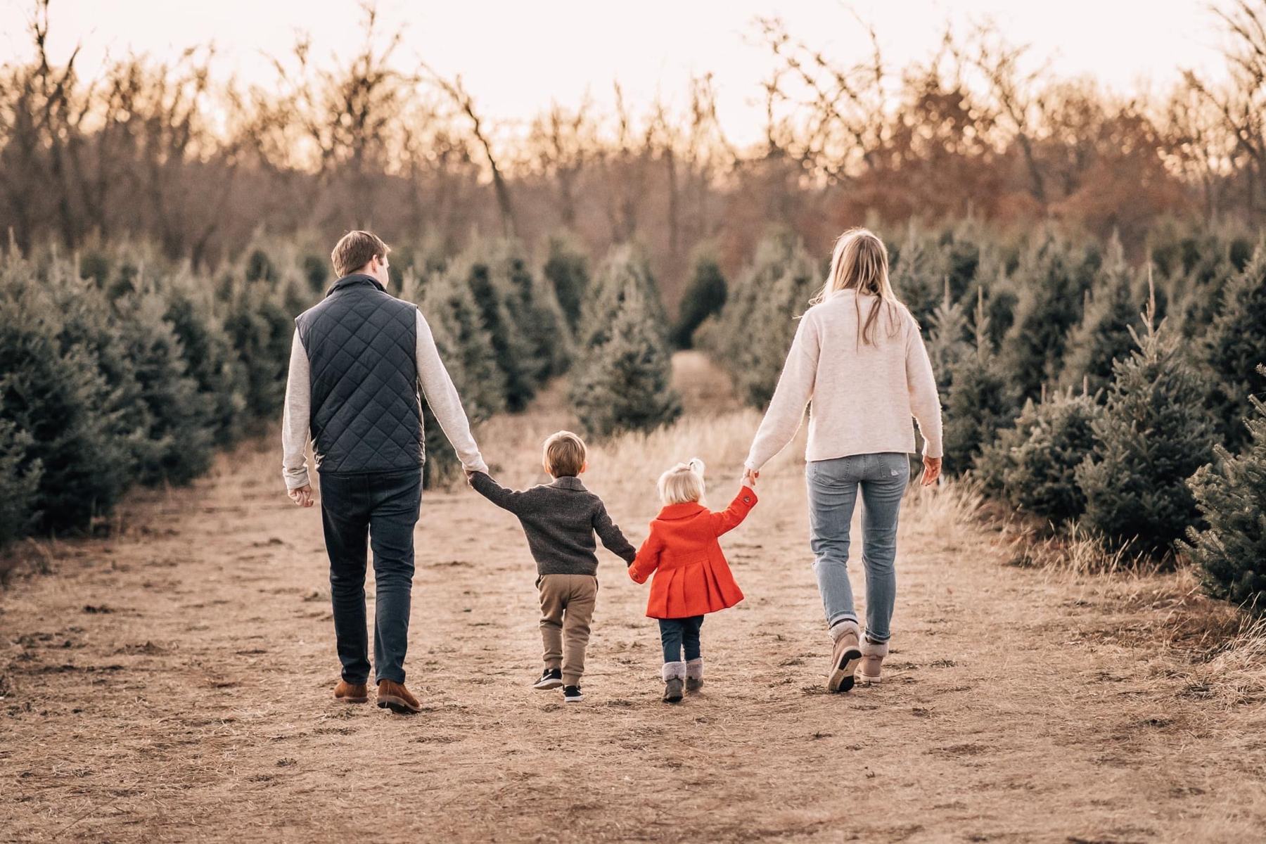 A family of four walks hand in hand down a row of Christmas trees at Our Farm